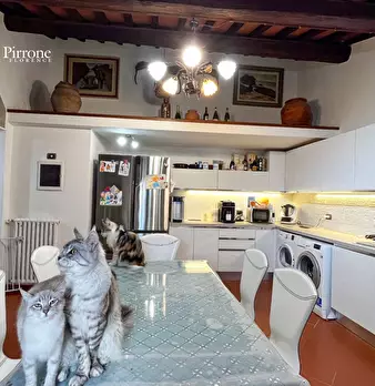 Foto annuncio 21
