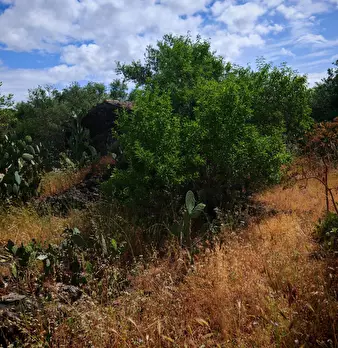 Foto annuncio 10