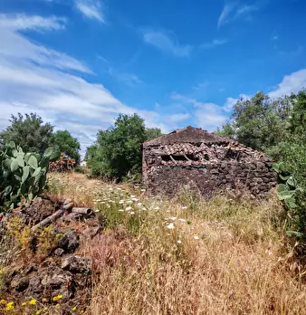 Foto annuncio 8