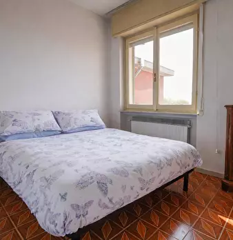 Foto annuncio 39