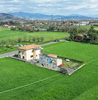 Foto annuncio 8