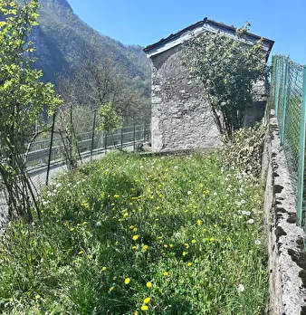 Foto annuncio 2