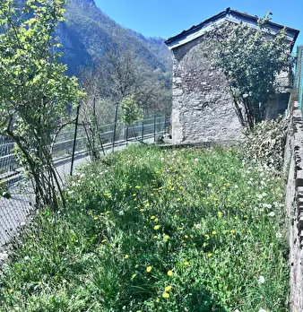 Foto annuncio 1
