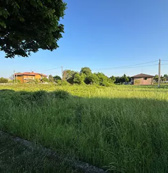 Foto annuncio 6