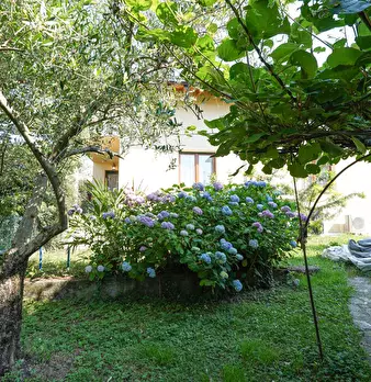 Foto annuncio 5