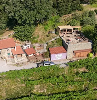 Foto annuncio 1