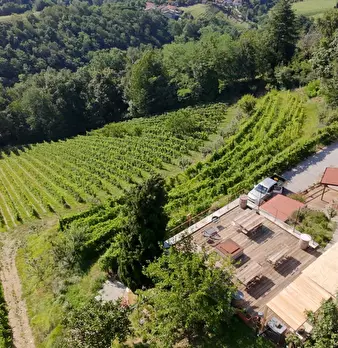 Foto annuncio 7