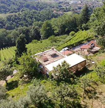 Foto annuncio 19