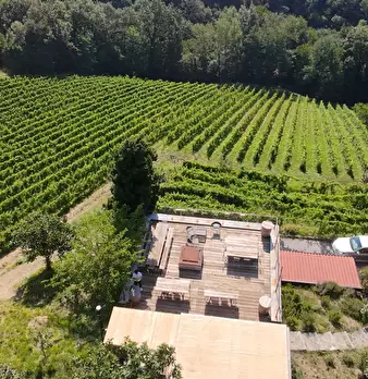 Foto annuncio 20
