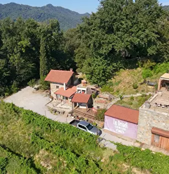 Foto annuncio 23