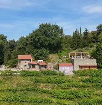 Foto annuncio 25