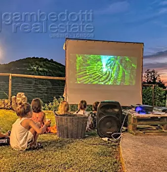 Foto annuncio 32