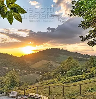 Foto annuncio 30