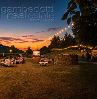Foto annuncio 34