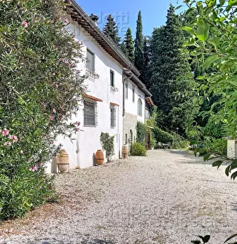 Foto annuncio 61