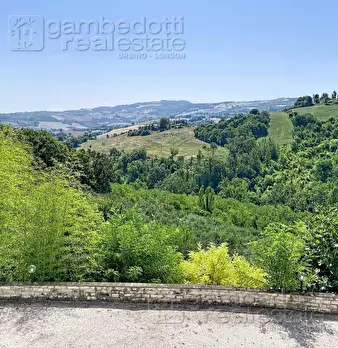 Foto annuncio 13