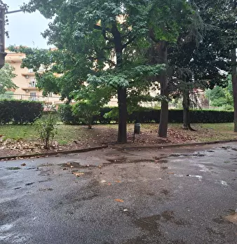 Foto annuncio 28