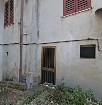 Foto annuncio 53