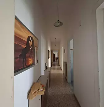 Foto annuncio 12