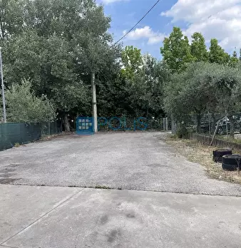 Foto annuncio 9