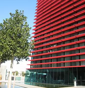 Foto annuncio 19