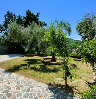 Foto annuncio 30