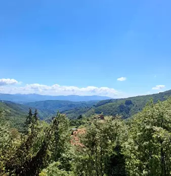 Foto annuncio 22