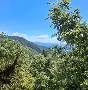 Foto annuncio 29