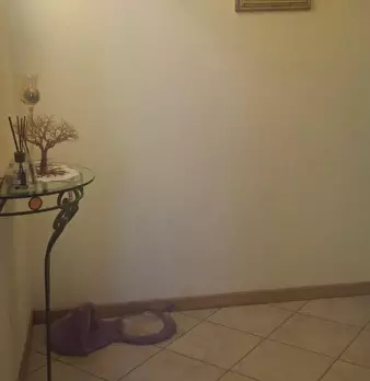 Foto annuncio 36