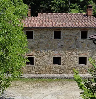 Foto annuncio 7