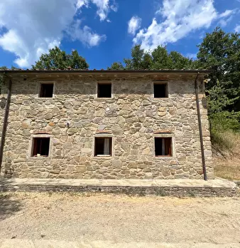 Foto annuncio 28