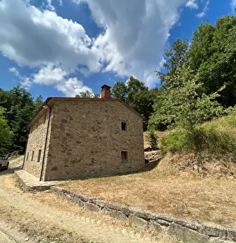 Foto annuncio 29
