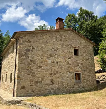 Foto annuncio 30