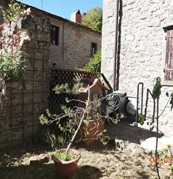 Foto annuncio 37