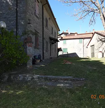Foto annuncio 46