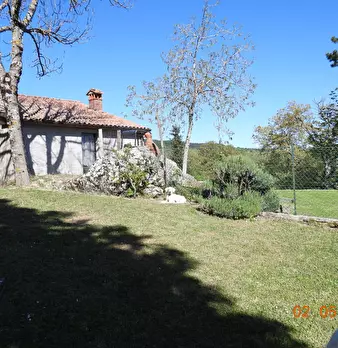 Foto annuncio 47
