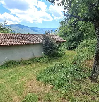Foto annuncio 18