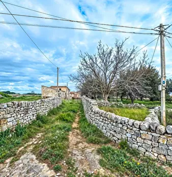 Foto annuncio 4