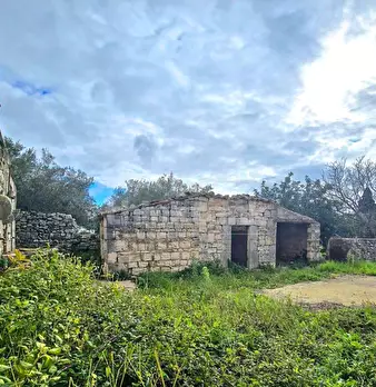 Foto annuncio 10