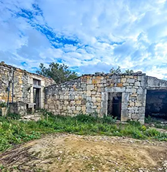 Foto annuncio 11