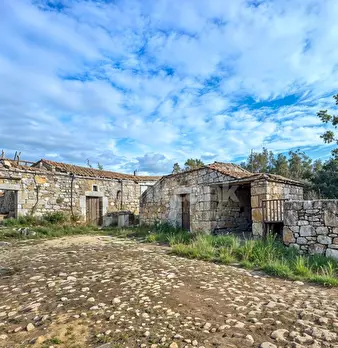 Foto annuncio 12