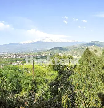 Foto annuncio 37