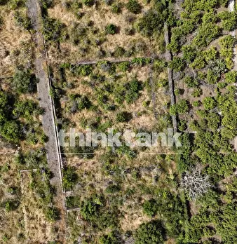 Foto annuncio 21