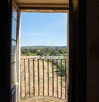 Foto annuncio 37