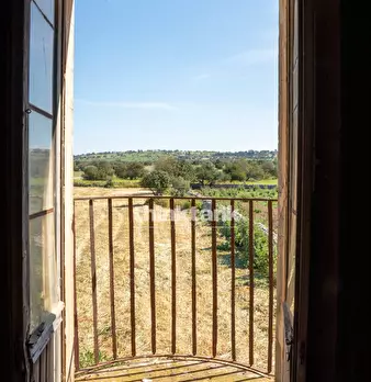 Foto annuncio 38
