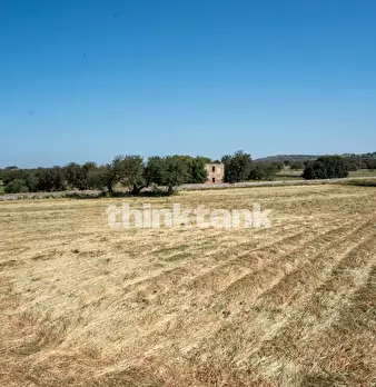 Foto annuncio 39