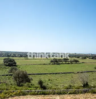 Foto annuncio 60