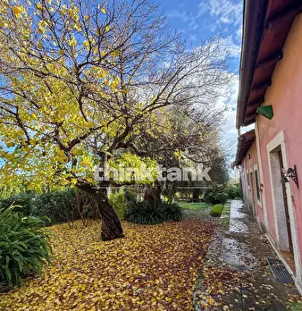 Foto annuncio 50
