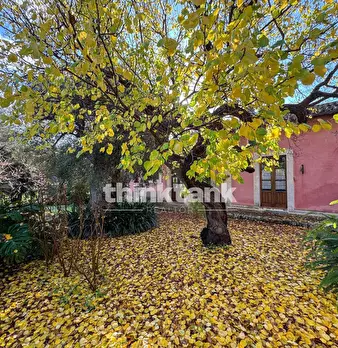 Foto annuncio 51