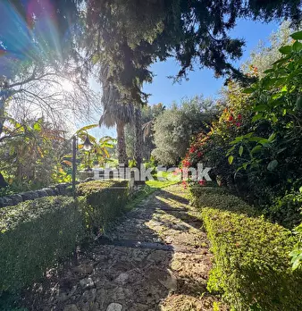 Foto annuncio 68